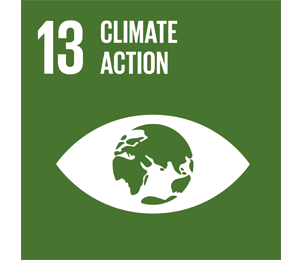 13 climate action