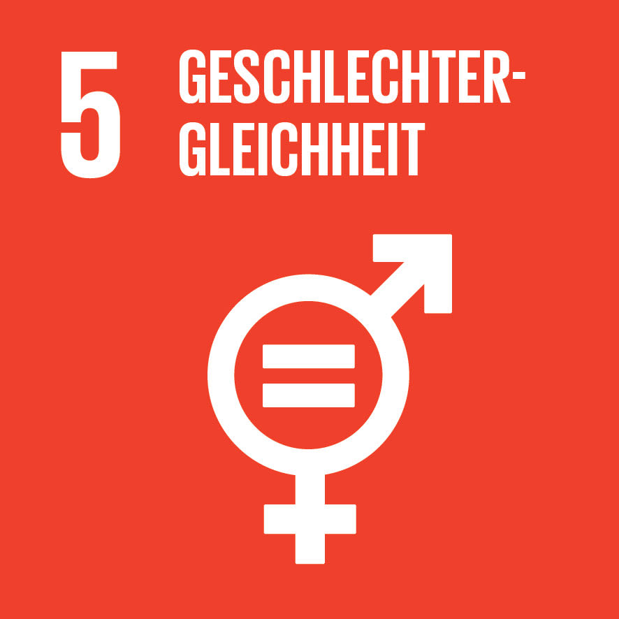 Icon von Ziel für nachhaltige Entwicklung Nummer 5. Icon von Ziel für nachhaltige Entwicklung Nummer 5.