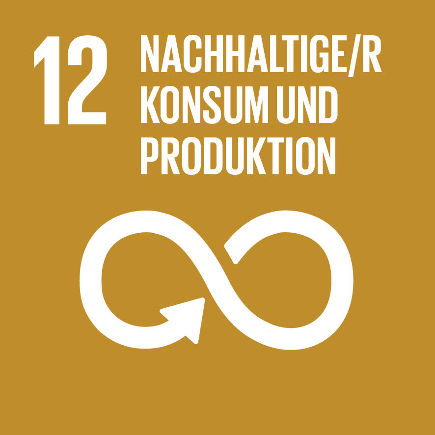 Icon von Ziel für nachhaltige Entwicklung Nummer 12. Icon von Ziel für nachhaltige Entwicklung Nummer 12.